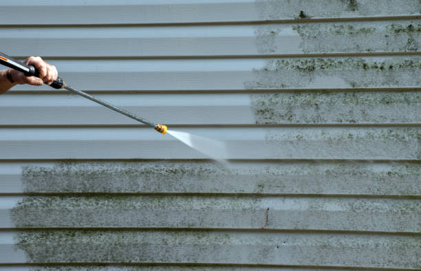 Best Spring Cleaning  in Petersburg, VA