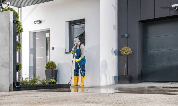 Best Roof Washing  in Petersburg, VA